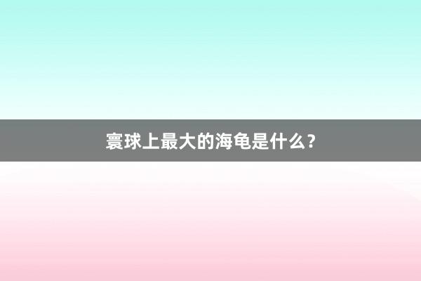 寰球上最大的海龟是什么？